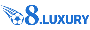 logo O8